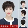 Gorro para Peluca para Mujeres, Madres de Mediana Edad y Mayores, Cabello Humano Real, Ligero y Transpirable, Engrosamiento del Cabello, Cabello Corto Rizado Esponjoso, Peluca de Cabeza Completa