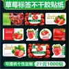 Adesivo de etiqueta de morango Creme vermelho Dandong jiujiu 99 fruta Filme universal adesivo design z
