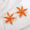 Pendientes de Metal con Borde de Colores Estilo Resort Transfronterizos, Pendientes Estilo Europeo y Americano, Tachuelas de Flor de Rafia Hechas a Mano