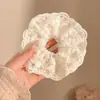Scrunchies de Cabelo Exquisitos de Alta Qualidade para Mulheres 2026 Novo Estilo Coreano Elástico Extra Grande Acessórios de Cabelo em Cores Vintage