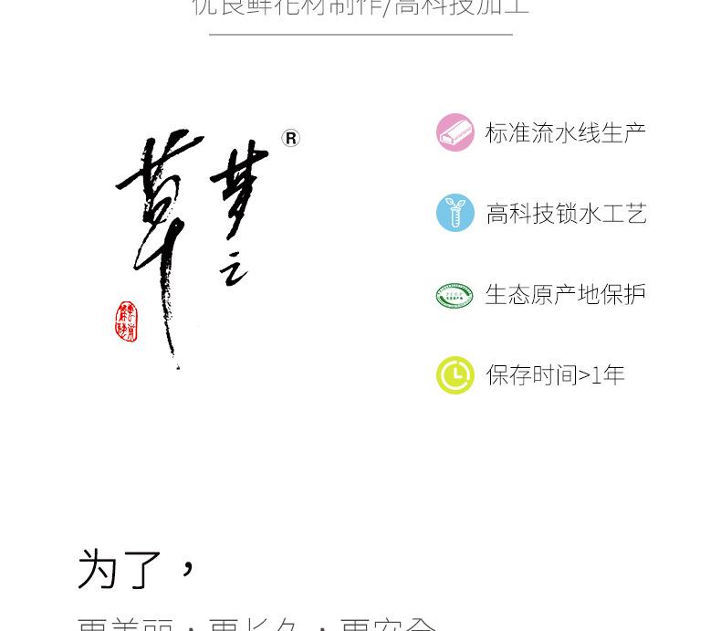 整体_04.png