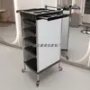 Carrinho de Ferramentas Salão de Cabeleireiro Barbearia Carrinho com Haste de Armazenamento Carrinho de Armazenamento Armário de Ferramentas Simples para Barbearia Carrinho