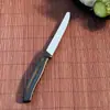 Para Amazon transfronterizo cuchillo afilador de frutas de acero inoxidable pelador cuchillo pelador cortador de verduras con mango de plástico hogar ahora