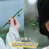 Estilo Nacional Madeira Elegante Grampo de Cabelo Estilo Antigo Grampo de Cabelo Hanfu Jardim de Osmanthus Gardênia Flor de Ameixa Disco Borboleta Acessório de Cabeça Franja Lateral