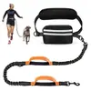 Novo conjunto de bolsa de cintura esportiva para corrida de animais de estimação transfronteiriça, coleira retrátil refletiva para passeios de cachorro ao ar livre, em estoque para atacado