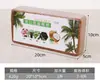 Maceta Rectangular Estrecha para Balcón, Repisa de Ventana, Maceta Estrecha para Cultivo de Verduras, Maceta Suculenta para Jardinería Casera, Maceta de Autoriego para Cebollas