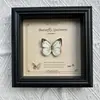 Marco de Fotos con Foto de Espécimen de Mariposa Real Elegante Madera Decorativa Pintura Muebles para el Hogar Marco de Fotos Retro Europeo Mesa Regalo de Cumpleaños
