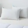 Funda de almohada de seda helada Tencel transfronteriza, funda de almohada impermeable y transpirable de TPU, funda de almohada antiácaros y amigable con la piel, fabricante, venta al por mayor
