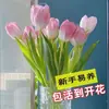 Venta al por mayor de 5 bulbos de tulipán en stock, florecen en todas las estaciones, fáciles de cuidar, adecuados para cultivo hidropónico, de pétalos dobles, para cultivo en tierra o maceta en el balcón