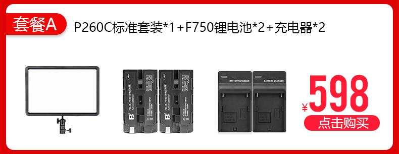 260单灯促销_02.jpg