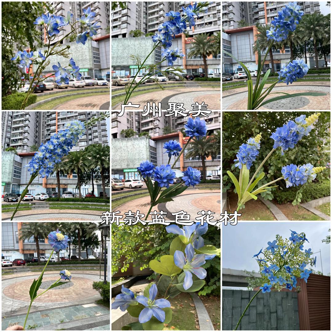 微信图片_20211024113701.jpg