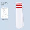 Medias para niñas, calcetines de verano, calcetines finos de algodón, blancos, de tubo alto, de malla, hasta la rodilla.