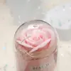 Mini Ramo Transfronterizo de Flores de Jabón, Rosas Eternas Cubiertas de Acrílico, Regalo de Cumpleaños, Adorno Luminoso de Escritorio