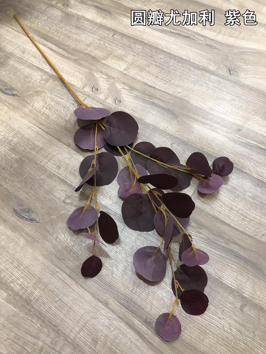 微信图片_20190525174014