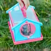 Caja de Observación de Insectos para Exploración al Aire Libre Infantil Transfronteriza Caja de Cría DIY Ensamblable Colección Juguetes Educativos de Ciencia y Educación