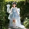 Vestido de menina, vestido de tule, vestido de princesa, vestido infantil Frozen Elsa Lolita, fantasia de apresentação