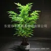 Samambaia simulada cavalinha samambaia combinação de planta verde árvore de capim persa simulada árvore falsa planta verde em vaso decoração de casa