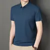 Camiseta de Verano 2024 para Hombre Versátil Juventud Nueva Exterior Delgada de Manga Corta Cuello Polo Color Sólido Moda Cabello