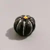 Comercio Exterior Transfronterizo Micro-Paisaje Creativo Calabaza de Halloween Decoración DIY Accesorios Mini Adornos de Resina