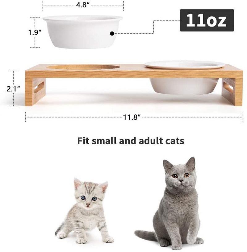 51CmNZ0-DhL._AC_SL1000_