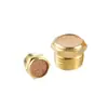 Silenciador de Válvula Solenoide Silenciador Neumático Silenciador a Prueba de Polvo de Cabeza Plana Accesorios para Válvulas Solenoides