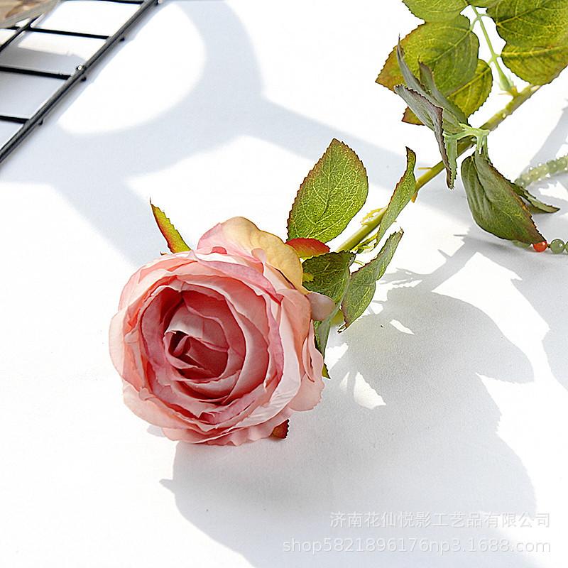 单支复古英国玫瑰