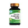 Cápsulas blandas de Aloe Vera y Vitamina E Nanjing Tongrentang Liuhe Qianhaishi Lifu Soporte conveniente para Dropshipping Precio al por mayor
