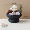 Difusor de vaso de vidrio para piedra bruta de cristal natural, aromaterapia sin llama con aceite esencial, piedra de cristal para fragancia de dormitorio, decoración de recuerdo