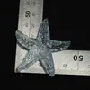 Série Oceano de Verão, Charms para Sapato Perfurados DIY de Estrela-do-Mar, Correntes para Celular, Acessórios para Bolsa, Materiais de Vestuário com Design de Formatura