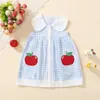 Vestido de Verano para Niña con Cuello de Muñeca, Estampado a Cuadros, Bordado de Manzana, Vestido sin Mangas tipo Camiseta para Niños, Suministro Directo del Fabricante