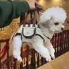 Transportín para Gato y Perro Transportín Portátil para Perro en Viaje Transportín Transpirable para Gatito Transportín con Superficie Suave Fabricante al por Mayor
