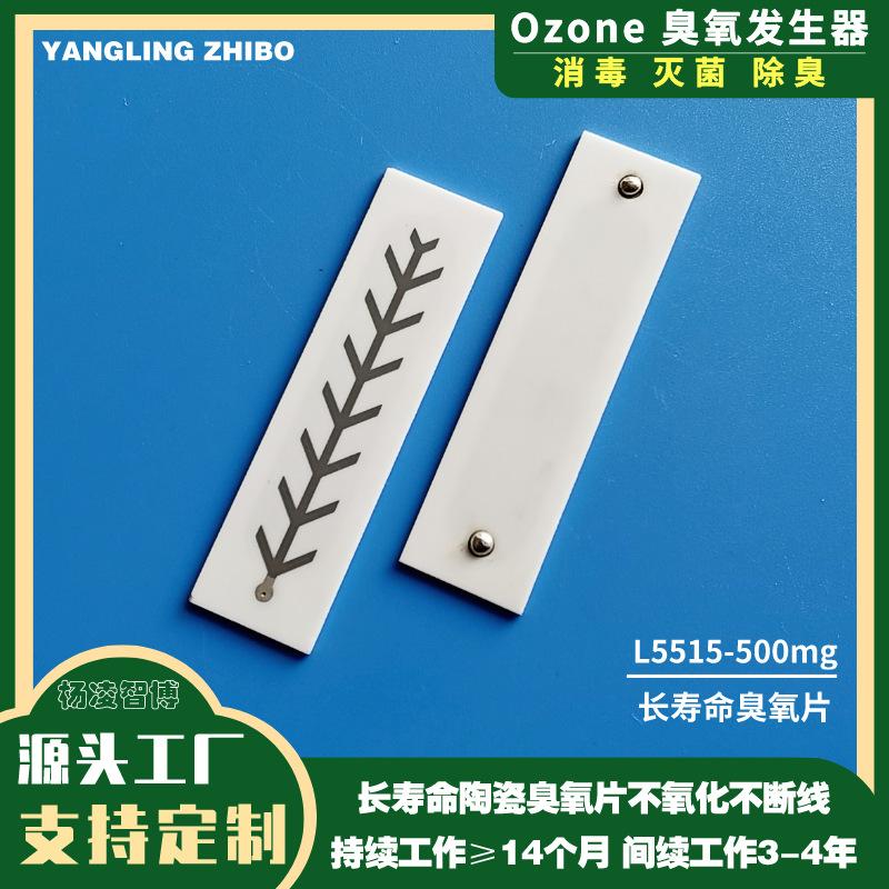 L5515鱼刺臭氧片 (27)