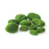 Pedra de Musgo Artificial Parede de Plantas Verdes Musgo Bonsai Bonsai Micro Paisagismo Enfeite DIY Decoração Pedra de Cabelo Artificial Decoração