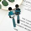 Aretes Acrílicos Personalizados, Aretes de Lujo Ligero de Alta Gama, Aretes de Borla Versátiles con Temperamento Estilo Ins, Creativos y Modernos