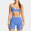 Soporta procesamiento OEM/ODM y personalización Conjunto deportivo de estampado de leopardo para mujer, sujetador y shorts, conjunto de ropa deportiva para exteriores y yoga