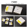 Perla de Lámpara LED Full-Color Cuatro en Uno 5050Rgbw Cabeza de Bola 4W 9V18V Smd 5054Rgbw Perla de Lámpara para Acuario