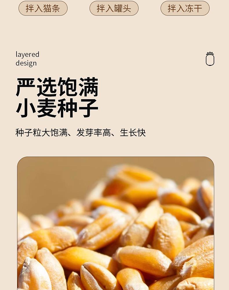 详情页 (13).png