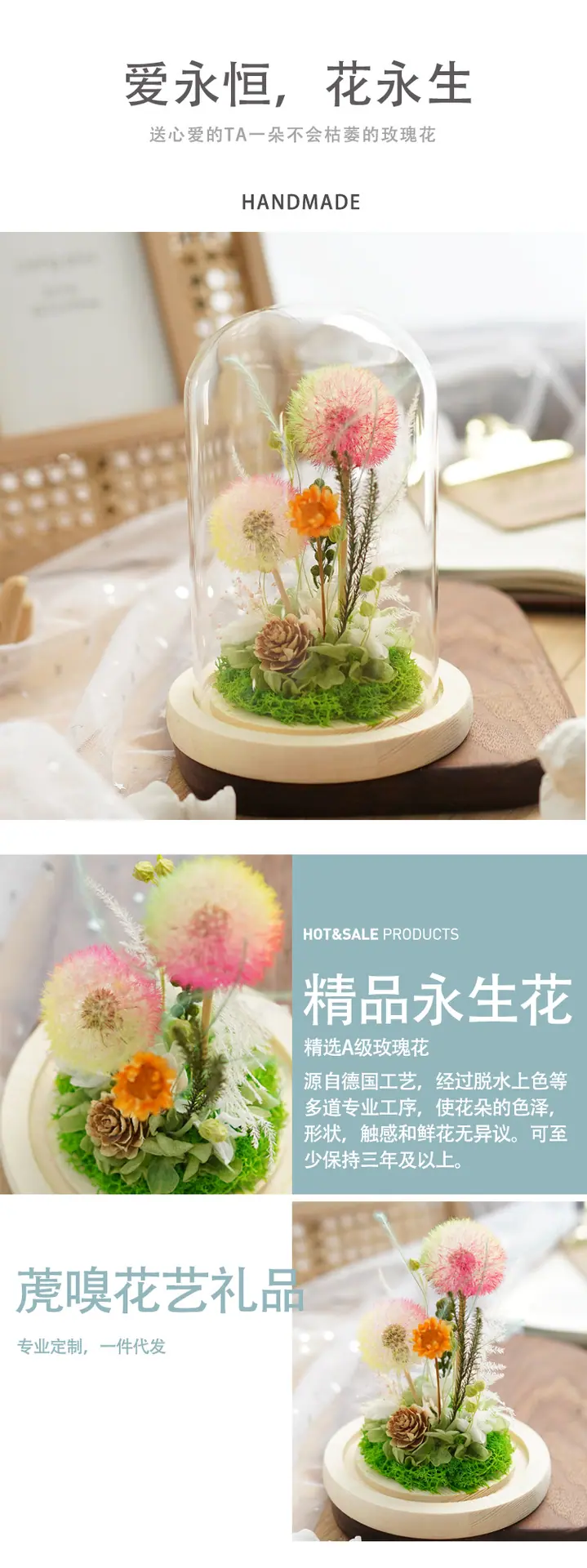 永生花蒲公英