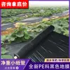 Película de Acolchado Agrícola Negra para Control de Malezas, Película de PE Engrosada con Perforaciones, Lámina de Plástico Biodegradable para Plantación de Hortalizas, Prevención de Malezas