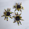 Patrón Colorido Transfronterizo Araña Artificial Halloween Diseño de Lugar Truco Juguete Pequeño Araña 6.3*5.2cm