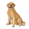 Escultura de Animales Creativa Artesanía de Resina Simulación Perro Golden Retriever Adornos Modelo Perro Guardián Adornos para Sala de Estar Hogar