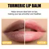Bálsamo Labial de Cúrcuma Eelhoe Hidratante y Humectante Diario, Uniforme y Radiante, Cuidado de Labios, Portátil y Compacto