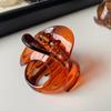 Pinza para el Cabello Minimalista y Elegante de Color Gelatina, Nuevo Modelo 2026, Pinza para el Cabello de Forma Única para Mujeres, Adecuada para Peinados Recogidos y Coletas Altas
