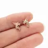 Pendientes de Acero Inoxidable con Diseño Recortado de Animales Lindos, Estilo Dulce y Fresco, Serie Negra: Jirafa, Dinosaurio Pequeño, Conejo, Zanahoria