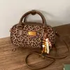 Bolso Pequeño Simple Transfronterizo para Mujer Otoño 2025 Nuevo Nicho de Alto Valor Bolso de Hombro Bolso Cruzado