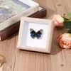 Especimen de Mariposa Real Pintura Decorativa Colgante Adorno de Insecto con Ojos Azules, Marco de Madera Maciza, Regalo para Mejor Amigo, Recuerdo Único