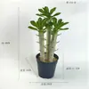 Cactus artificial cactus columna maceta tropical falso verde paisajismo desértico falso verde decorativo cactus bola adornos