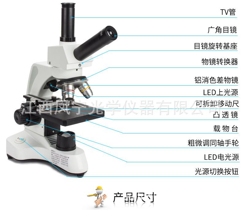 XSP-20XTV---1688_19.jpg