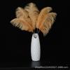 Material de flores de fibra Zhuo, ramo de plumas de colores, decoración de embalaje, joyería floral de estilo nórdico, flores de terciopelo de avestruz, materiales de embalaje