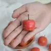 Chumfun Talla de Madera Pintada a Mano Manzana Pequeña Modelo de Fruta Artificial Adornos Decorativos Accesorios Manzana Verde Manzana Roja